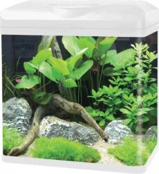 Najlacnejšie Invital EasyTank PRO LED bílá 30 l">